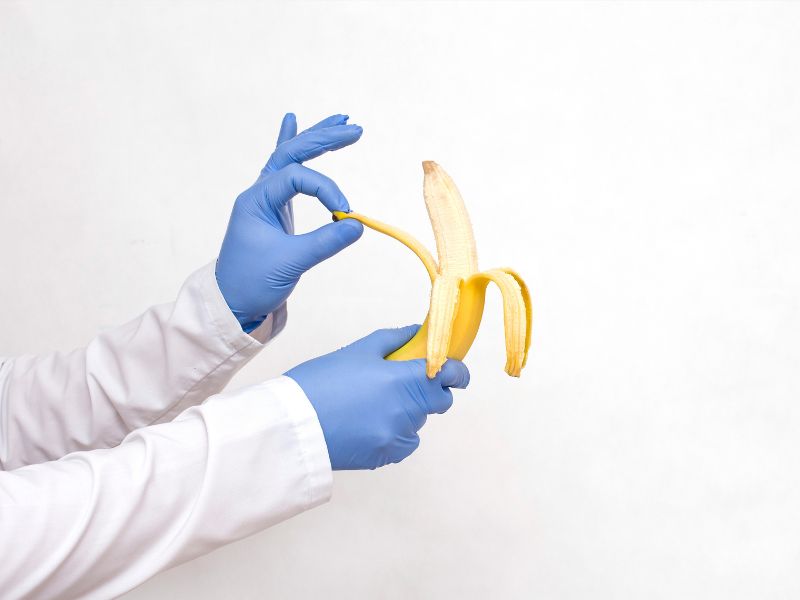 Czy stulejka jest groźna? Wyjaśniamy