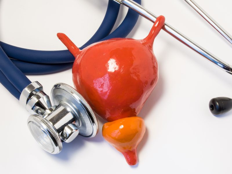 Czym jest prostata u mężczyzn i jakie są choroby prostaty?